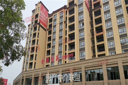 捡漏业主急售精装卖毛坯价建业壹号城邦旁电梯好楼层